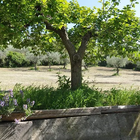 Holiday home Casa In Campagna *