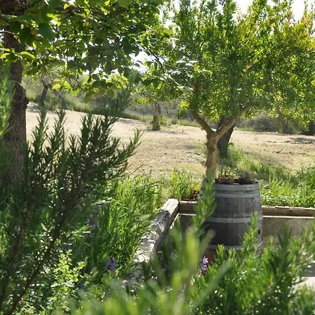 Casa In Campagna Pescara