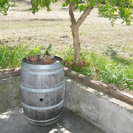 Casa In Campagna Holiday home Pescara
