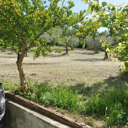Casa In Campagna Holiday home Pescara