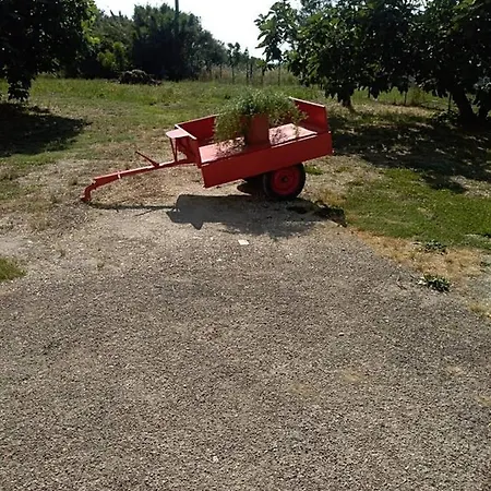 Casa In Campagna