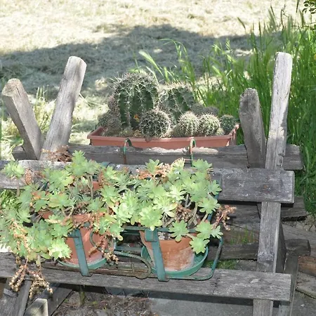 Casa In Campagna Holiday home *